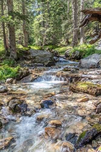 Fototapeta Naklejka Na Ścianę i Meble -  Rivière dans les sous bois dans les Alpes - River in Alps