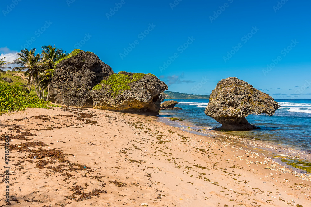 A prime example of wave-cut boulders on Bathsheba Beach on the Atlantic coast of Barbados
