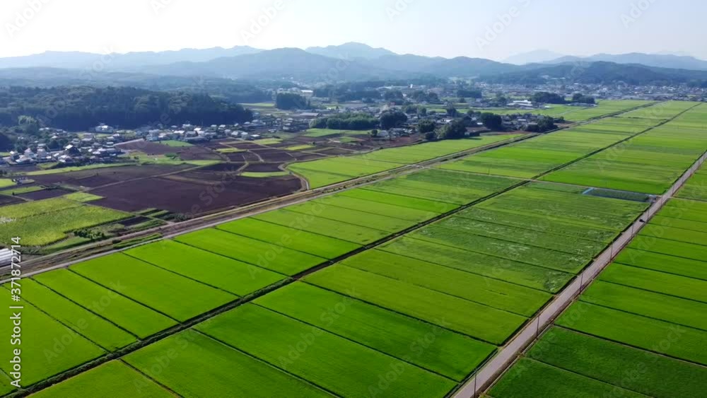 日本の夏の田園風景空撮 vídeo de Stock | Adobe Stock