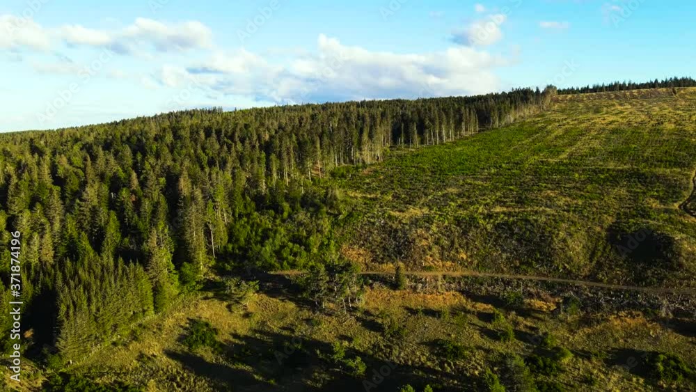 vue aérienne exploitation forestière auvergne en France avec forêt, arbres coupés, sapins et pins vert avec ciel bleu et nuages