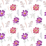 Weightless and airy seamless pattern with bright cosmos flowers and herbs on a white background. Perfect for textile, wrapping paper and fashion design. 