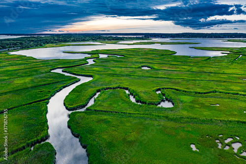 salt marsh along westport river