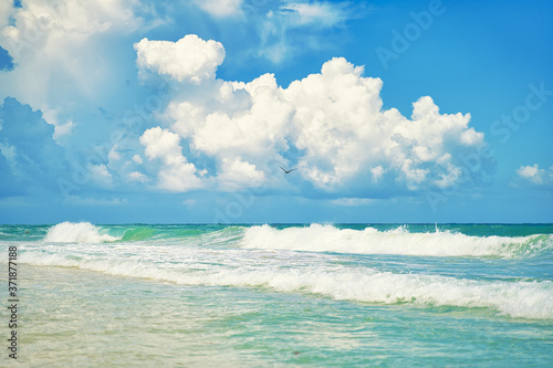 Fototapeta Naklejka Na Ścianę i Meble -  tropical beach and blue sky with big white clouds
