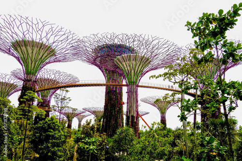 Gardens by the Bay, Singapore. © Michael