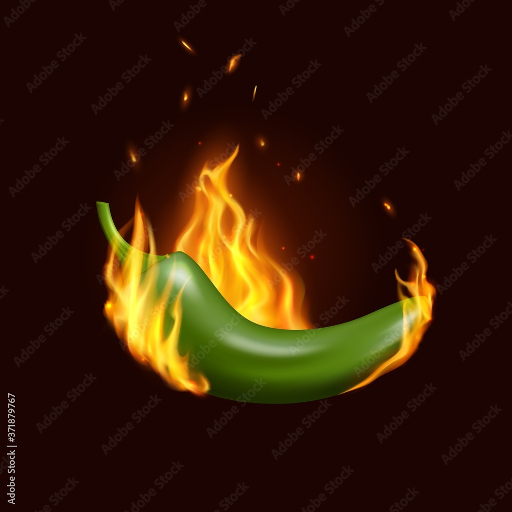 Jalapeno chili pepper in fire flame. Realistic vector Mexican spicy