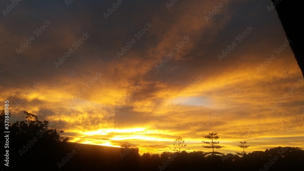 Fototapeta premium golden sunrise