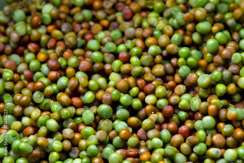 Selective focus background Komatsuna japanese green seeds red and green natural vibrant colors.