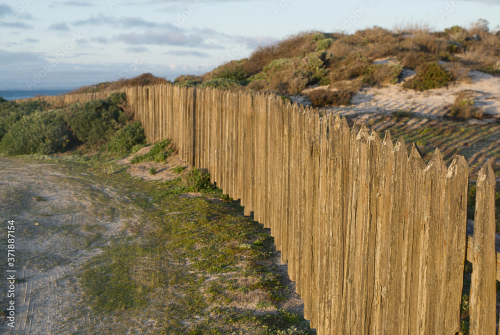 A wooden stake fence creates a barrier around some dunes on the Monterey Peninsula.