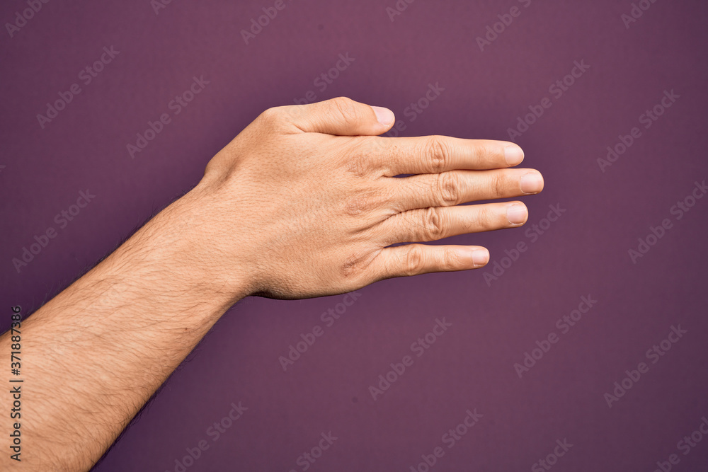 Fototapeta Hand of caucasian young man showing fingers over isolated purple background stretching and reaching with open hand for handshake, showing back of the hand