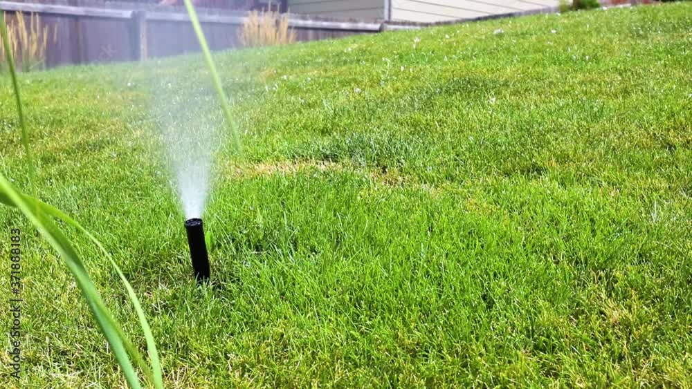 Irrigation system watering the lawn in the backyard