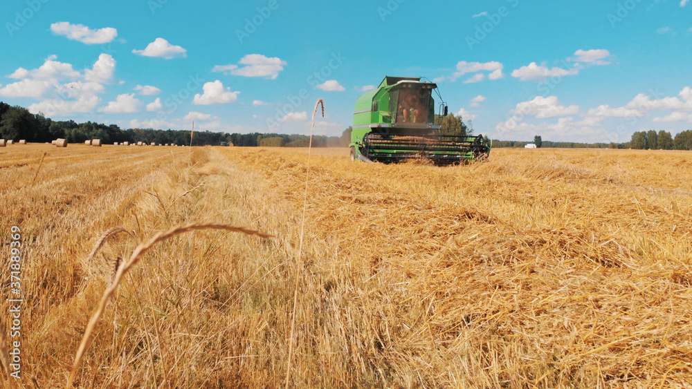 Obraz premium Modern combine harvester working on the field. low angle shot. High quality photo