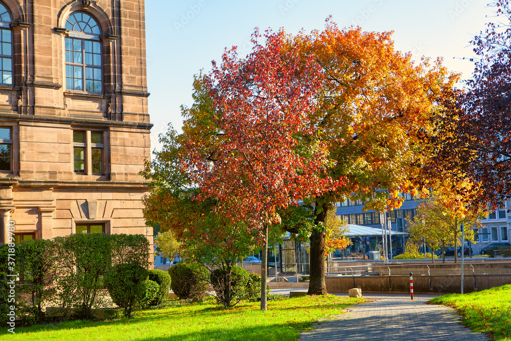 Naklejka premium Multicolored Autumn in the city . Pathway in the urban park