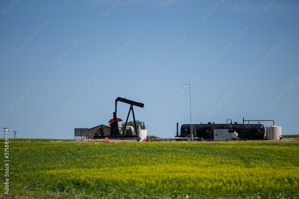 Oil derricks in the barley fields along the highways of Eastern Alberta Canada