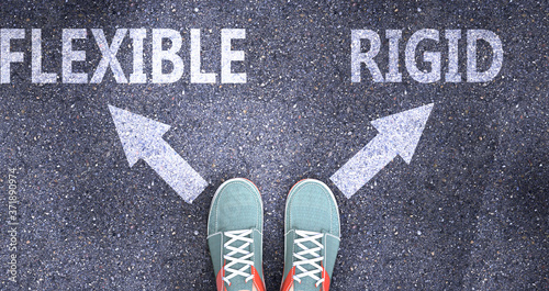 Flexible and rigid as different choices in life - pictured as words Flexible, rigid on a road to symbolize making decision and picking either Flexible or rigid as an option, 3d illustration