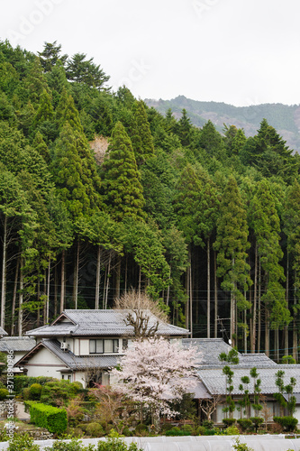 Japanese village in countryside