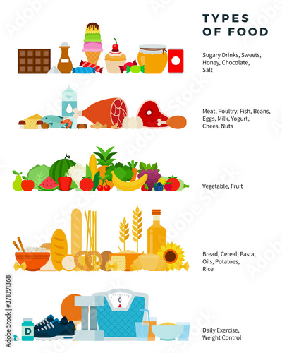 Types of food vector flat illustration. Healthy food pyramid from sweets to bread.