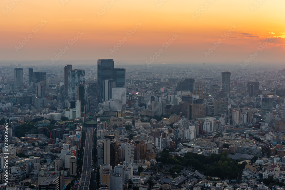 Obraz premium 東京都港区六本木の高層ビルの展望台から見た夕方の東京の都市景観