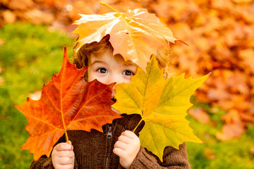 Autumn Baby Portrait In Fall Yellow Leaves, Little Child In Woolen Hat, Beautiful Kid in Park Outdoor, Knitted Clothing for October Season.