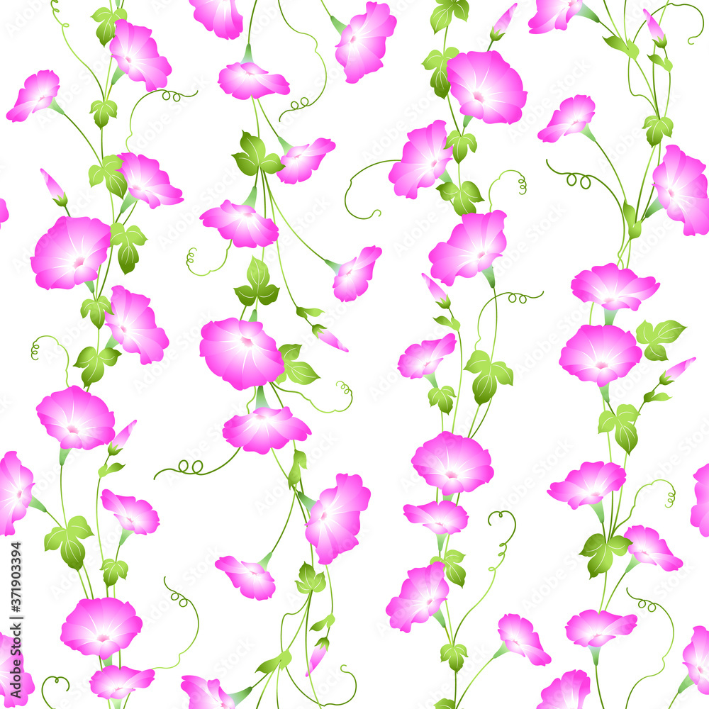 Seamless pattern of a Japanese-style, beautiful morning glory Seamless pattern of a Japanese-style, beautiful morning glory
