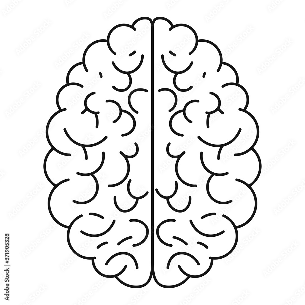 Brain icon vector illustration isolated on the white background 