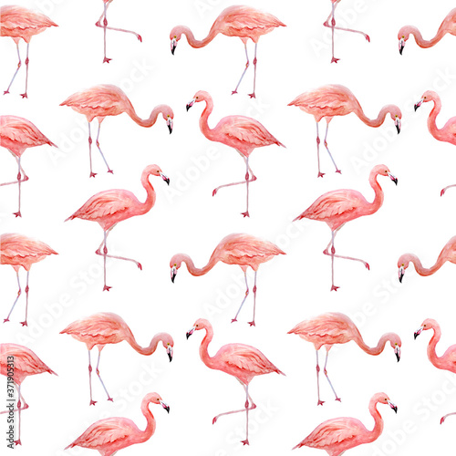 Seamless pattern of pink flamingo. Tropical exotic bird rose flamingos isolated on white background. Watercolor hand drawn realistic animal illustration. Summer bird wildlife. Print for wrapping paper © Marina Lahereva
