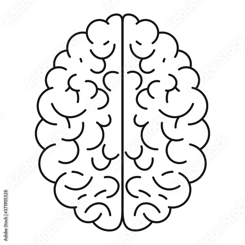 Brain icon vector illustration isolated on the white background 