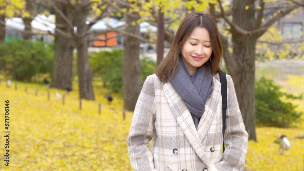 Smiling young Asian woman tourist walking and looking at beautiful yellow ginkgo biloba leaves falling down during autumn at Showa Kinen Park in Japan. Japan travel vacation and season change concept. Smiling young Asian woman tourist walking and looking at beautiful yellow ginkgo biloba leaves falling down during autumn at Showa Kinen Park in Japan. Japan travel vacation and season change concept.