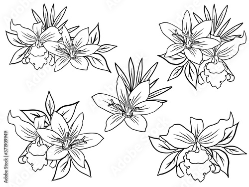Flowers Line Art Arrangements. You can use this beautiful file to print on greeting card  frame  mugs  shopping bags  wall art  telephone boxes  wedding invitation  stickers  decorations  and t-shirts