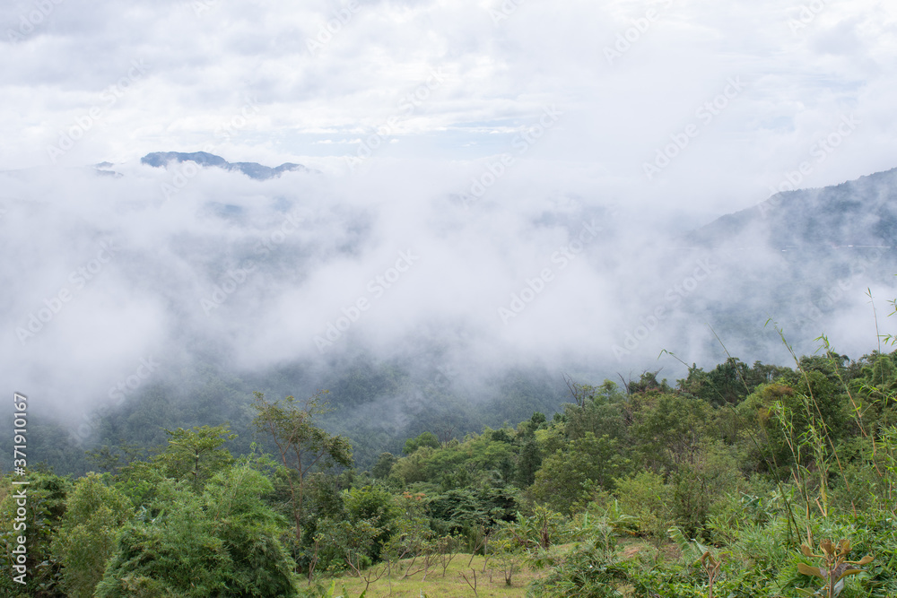 Fog in the mountains with Petchabun , Thailand Fog in the mountains with Petchabun , Thailand
