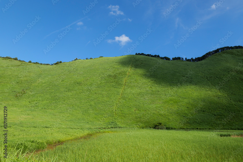 Scenery of Nara-Soni Highlands in midsummer