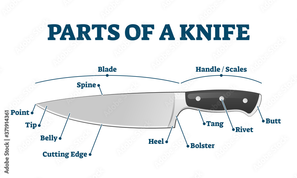 Parts of kitchen knife with labeled structure description vector