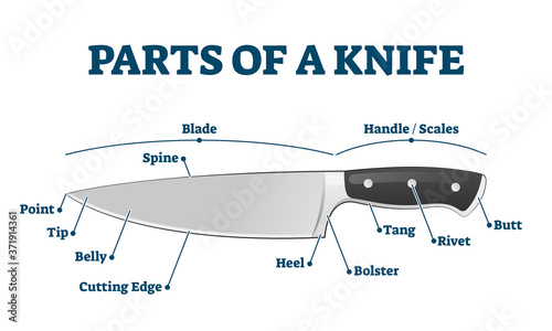 Parts of kitchen knife with labeled structure description vector illustration