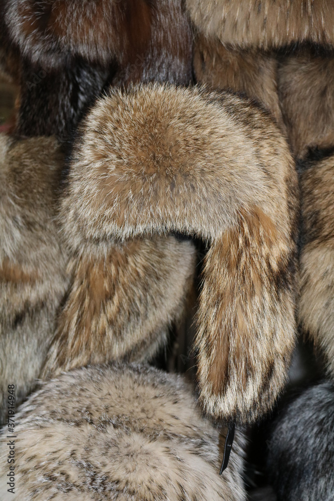 hat made of long-haired raccoon fur beige
hat made of long-haired raccoon fur beige