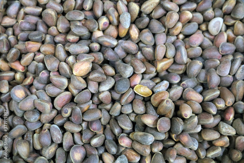 pine nuts - edible seeds of pine pine
 photo