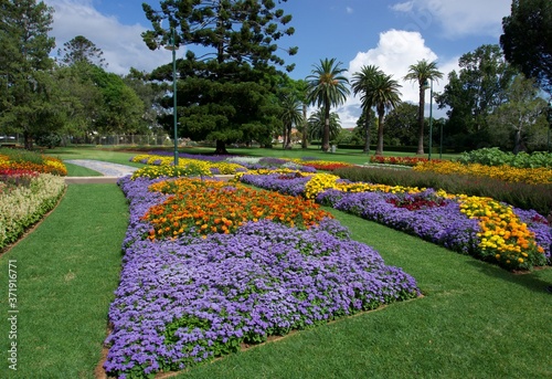 Beautiful flowers at Queens Park in Toowoomba Carnival of Flowes