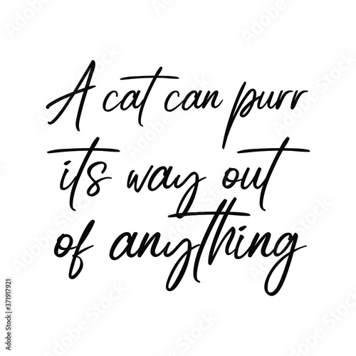 A cat can purr its way out of anything. Vector saying. White isolate