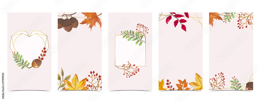Autumn background for social media.Set of instagram story with maple,leaf - obrazy, fototapety, plakaty 