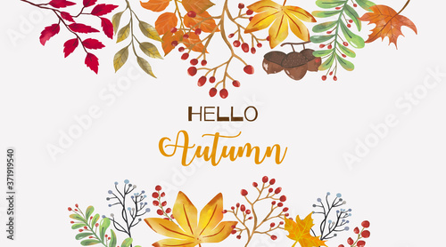 Collection of autumn background set with leaves,maple,acorn,frame.Editable vector illustration for birthday invitation,postcard and website banner