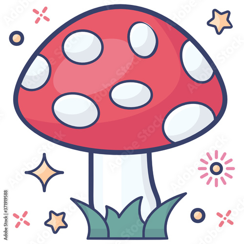 
A fleshy cultivation used in diet, a mushroom

