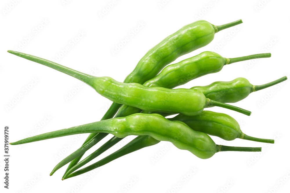 Radish pods (Raphanus sativus silique) isolated on white Radish pods (Raphanus sativus silique) isolated on white