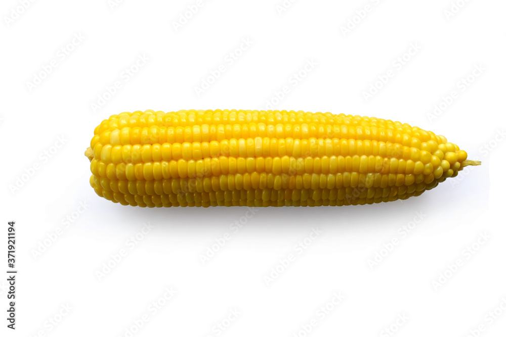 corn isolated on white background corn isolated on white background