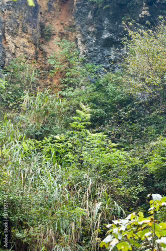 Zhangjiajie Grand Canyon, Hunan, contains mountain streams, silk-like smooth water, birds playing in the water, aquatic plants, ossy stones, cliffs, green trees environment, blue sky and reflection as photo