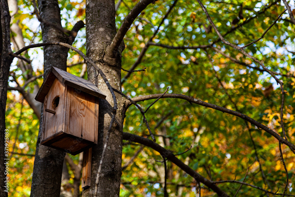 Birdhouse on a tree in a park.