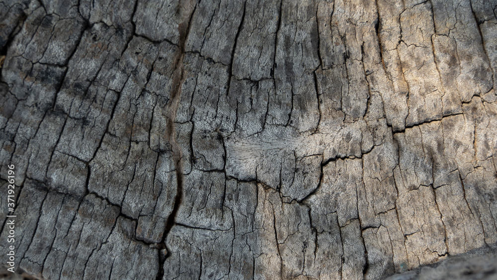 texture old wood brown background