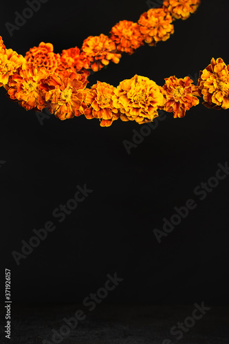 Dia de los muertos day, day of the dead or halloween background, copy space. Marigold flowers Garlands on black photo