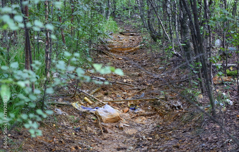 A dry drainage ditch filled with debris in the forest A dry drainage ditch filled with debris in the forest