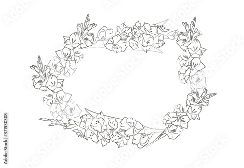 Horizontal frame with beautiful gladiolus