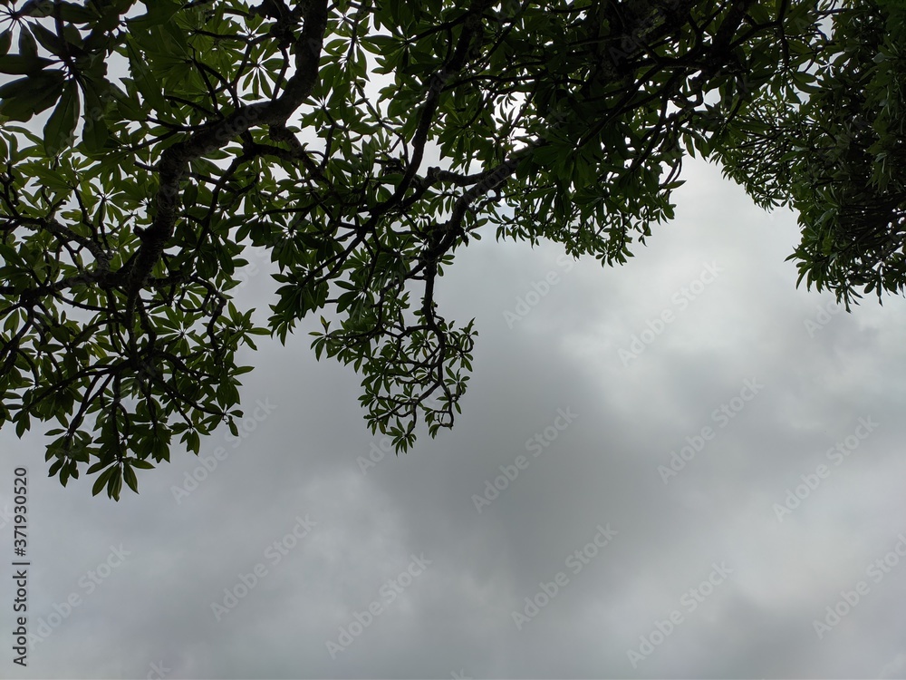 Fototapeta premium sky and clouds