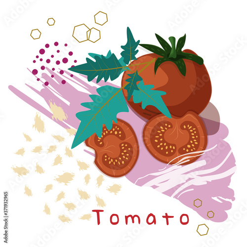 abstratc illustration of tomato with slices