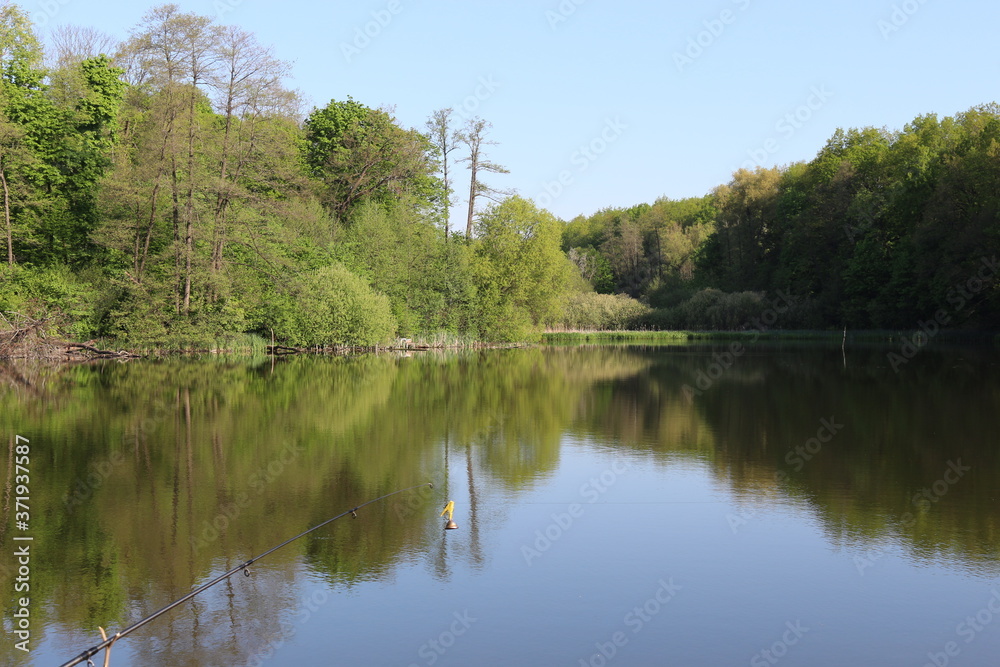Spinnings are abandoned on the shore of a forest lake on a summer sunny day. We fishing Spinnings are abandoned on the shore of a forest lake on a summer sunny day. We fishing